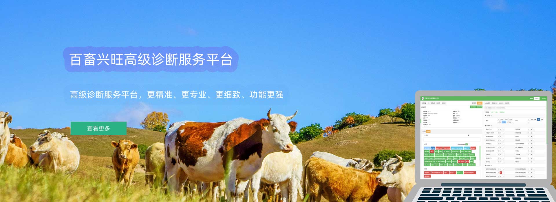 百畜兴旺企业版